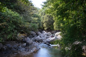 130928_Settsu-kyo_Gorge_Takatsuki_Osaka_pref_Japan02s3