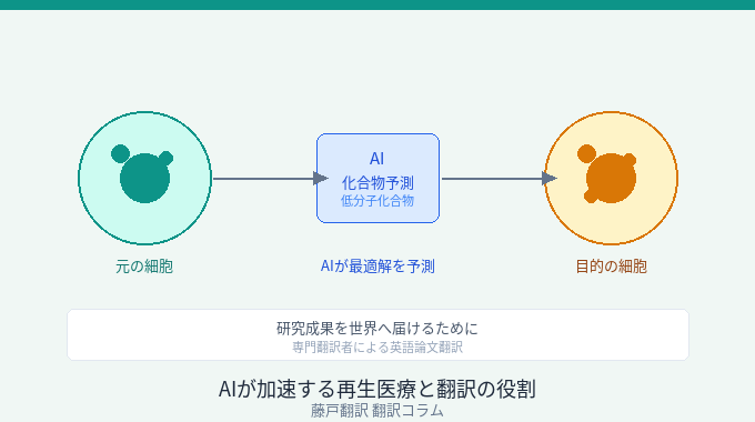 AIが再生医療の研究を加速する時代に、翻訳者の役割はどう変わるか